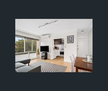 Fawkner Park on Your Door Step - Photo 3