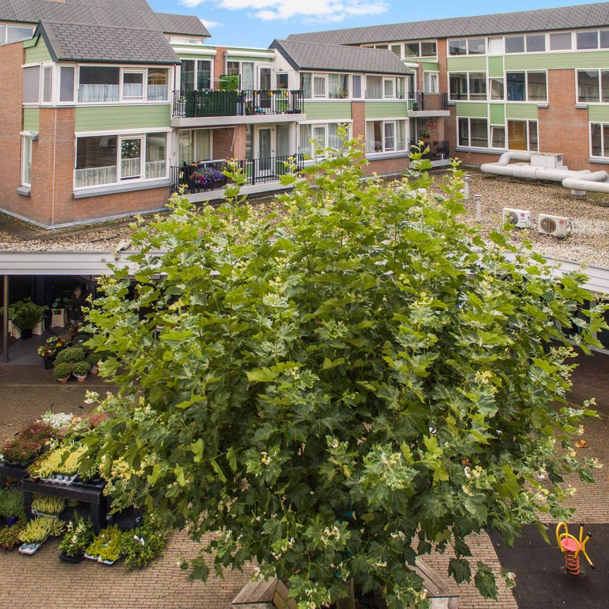 Petuniatuin 263, Zoetermeer - Appartement (55+) - Photo 1