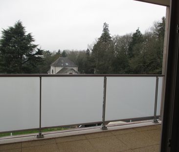 Location Appartement 3 pièces 64m² ST JEAN DE BRAYE 45800 - Photo 6