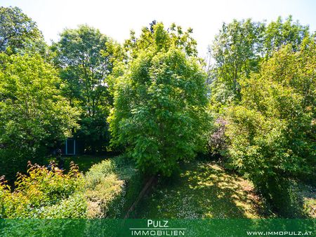SINGLEWOHNUNG in GRÜNLAGE - Photo 4