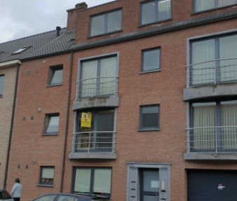 Appartement te huur Hamme (9220) - Photo 3