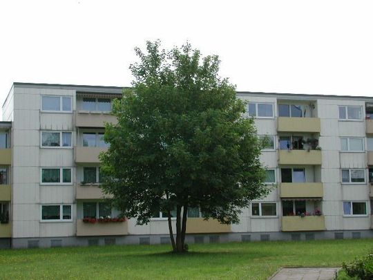 schöne 3-Zimmer-Wohnung mit Vollbad und Balkon - Foto 1