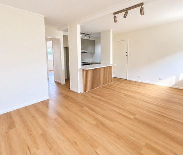 Freshly Updated 2-Bedroom Apartment – Just a Stroll to the Broadwater! - Photo 2