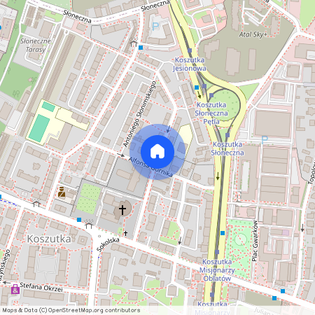 ul. ks. kard. Stefana Wyszyńskiego, Koszutka, Katowice, śląskie