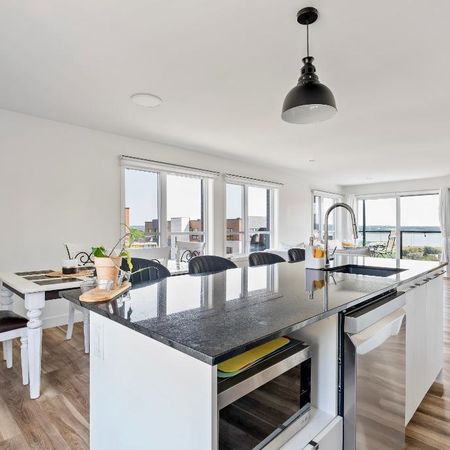 Grand 5 1/2, ANIMAUX ACCEPTÉS, 1 MOIS DE LOYER GRATUIT - Photo 3