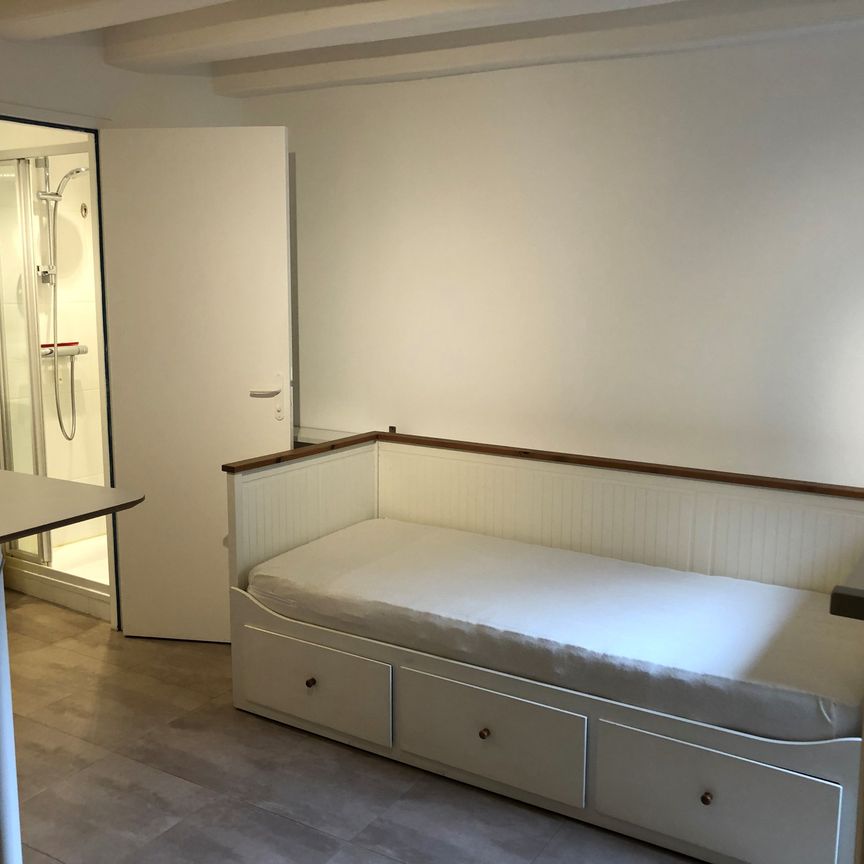 Location Appartement 1 pièce 15m² NANTES 44000 - Photo 1