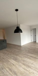 5 1/2 à louer - Un petit chien accepté - 1e septembre 2026 - 1645$ Wi-fi inclus - Photo 4