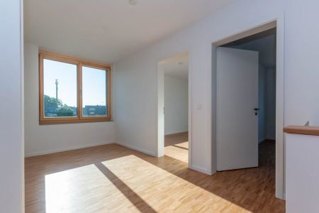 Großzügige Neubauwohnung mit Dachterrasse - Photo 4