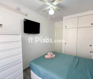 Piso en alquiler en Torrevieja - Photo 4