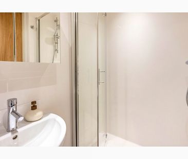 Bronze Studio / Bronze Plus Studio - Photo 6