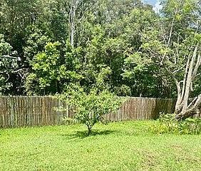 Private and Peaceful in Yandina - Photo 1