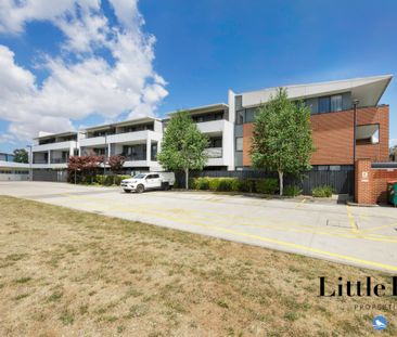 12/37 Braybrooke Street, Bruce ACT 2617 - Apartment For Rent | Domain - Photo 5