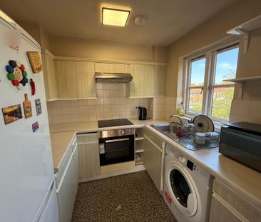 Conifer Way - Photo 4
