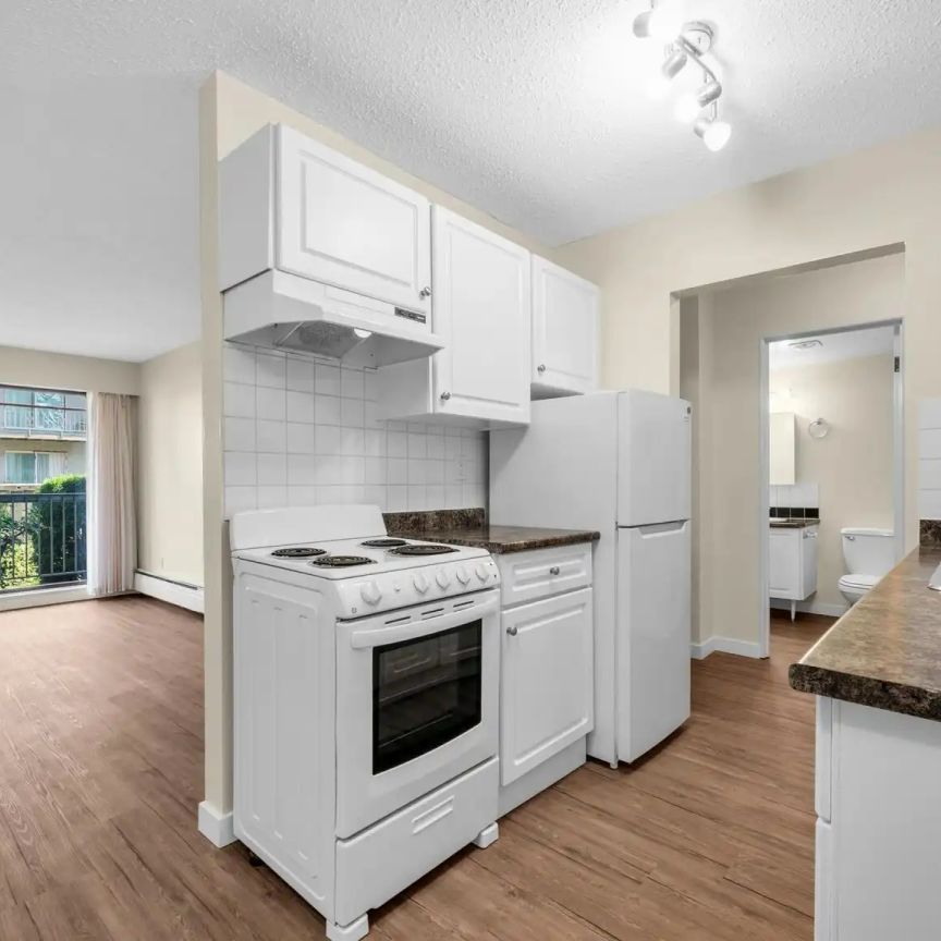 FERNDALE COURT — 1 Bed 1 Bath A - FEC - Photo 1