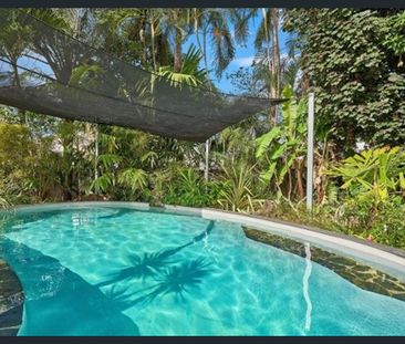 TROPICAL OASIS IN CENTRAL LOCATION - Photo 3