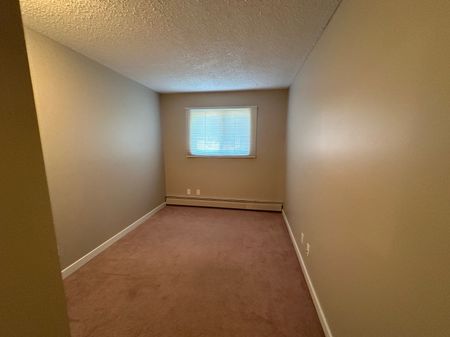 Spacious 2 Bedroom Cat Friendly Suite in Clearview! - Photo 4