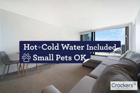 2 large bedrooms + 2 Bath at Centro , Sugartree! - Photo 2