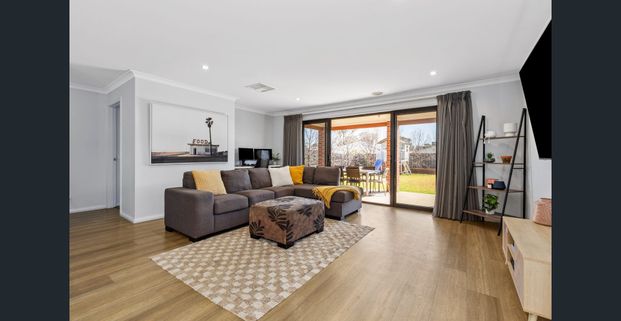 Perfect family home, with shedding - Photo 1