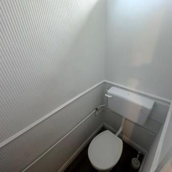 Millfield Avenue, Walsall, WS3 - Photo 1