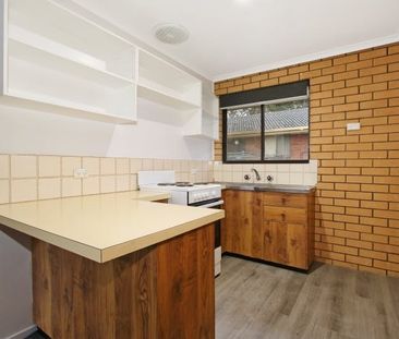 Fresh, Low-Maintenance Living in Prime North Albury Location - Photo 2