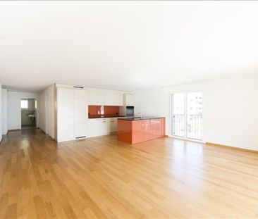 Logement dans le vert - Photo 5