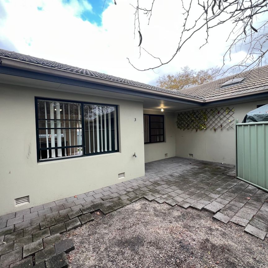 3/574 Ebden Street, Albury NSW 2640 - Apartment For Rent | Domain - Photo 1