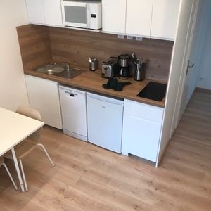 Location Appartement 1 pièce 19m² - Photo 3