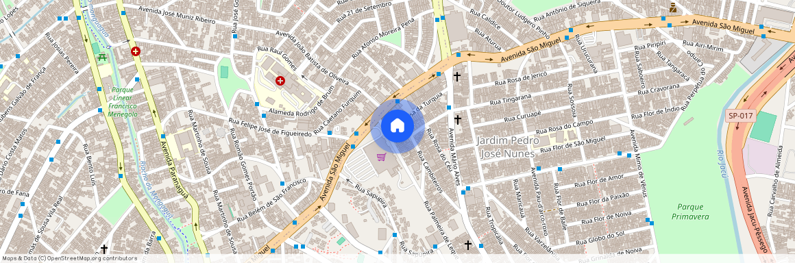 Rua Rosa-da-turquia, Jardim Pedro José Nunes, Vila Jacuí, São Paulo