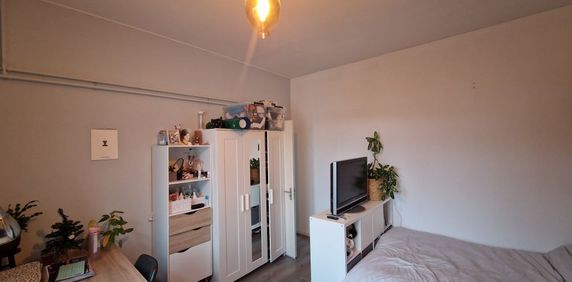 Kamer Musschenbroekstraat ( tijdelijk huurcontract ) - Photo 2