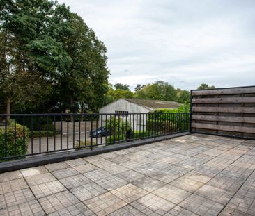 Kalmthout - Photo 1