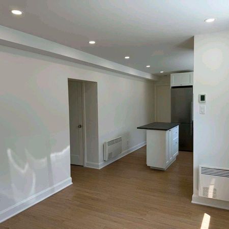 3 et demi lumineux à Longueuil - Photo 3