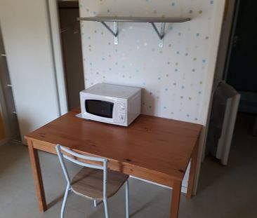Location Appartement 1 pièce 17m² - Photo 3