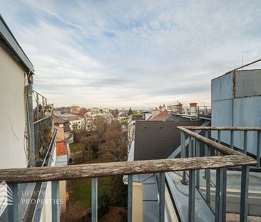 Einzigartige 7 - Zimmer Wohnung mit Terrasse in bester Lage, Erstbezug - Photo 1