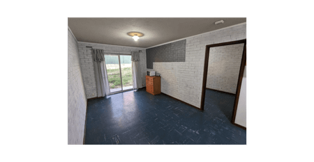 Pets Allowed. Top Locale. Walk to Everything! Ultra-convenient life style - Photo 3