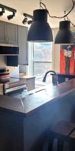 superbe Condo-loft 3 1/2 meublé et entièrement rénové à 5 minutes du métro joliette avec wifi, électtricité et chauffage inclus - Photo 3