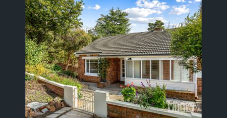 Bright, Character & Great Location - Photo 5