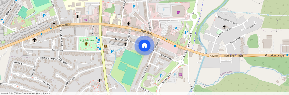 Lime street, Swansea, SA4