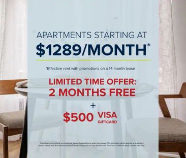 324 Cambridge | 324 Cambridge, Ottawa - Photo 1