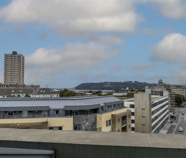 The Crescent, Plymouth - Photo 6