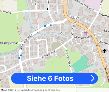 2.5 Zimmer, 46 m², EG - Foto 1