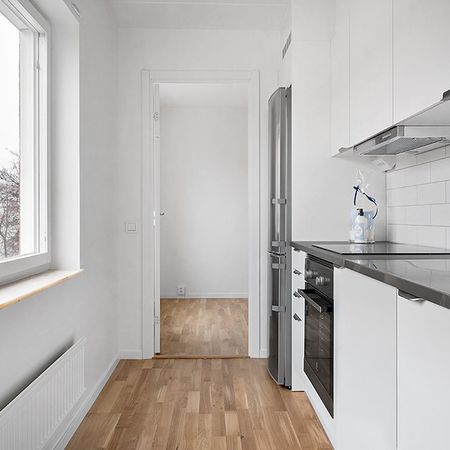 Skorpionens Gata 503, Brandbergen - Photo 3