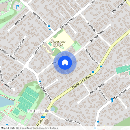 23 Hinton Avenue, Forest Lake, Hamilton City