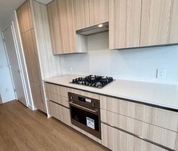 Brand New, 14th floor, Water Street by the Park! - Photo 5