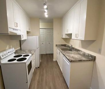 Olympic View Terrace — 1 Bedroom - Photo 4
