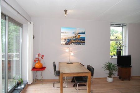 Goudmos 174 - Foto 3