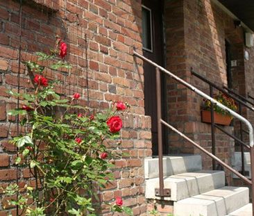 Klein, fein, Dein - Foto 5