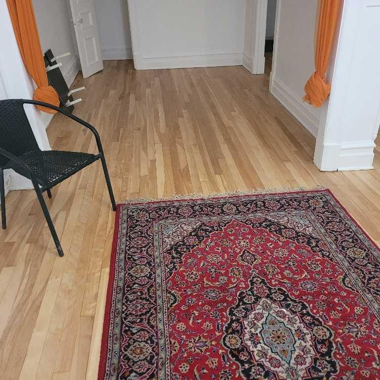 3 1/2 ­à louer, 1050 $ /mois, de La Roche/Beaubien - Libre dès maintenant - Photo 1