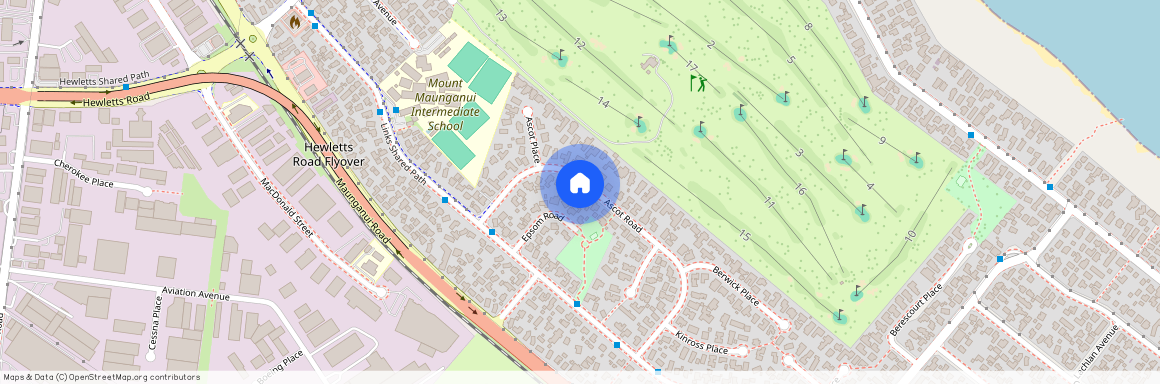 24 Ascot Road, Mt Maunganui