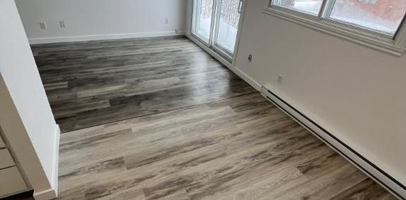 Magnifique 4 1/2 à louer Greenfield Park, Longueuil, Rive-Sud, Montérégie - Photo 2