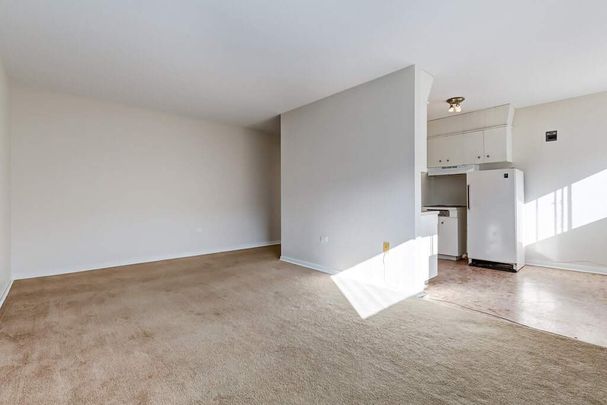 Renovated Suite - 1 Bedroom - Photo 1